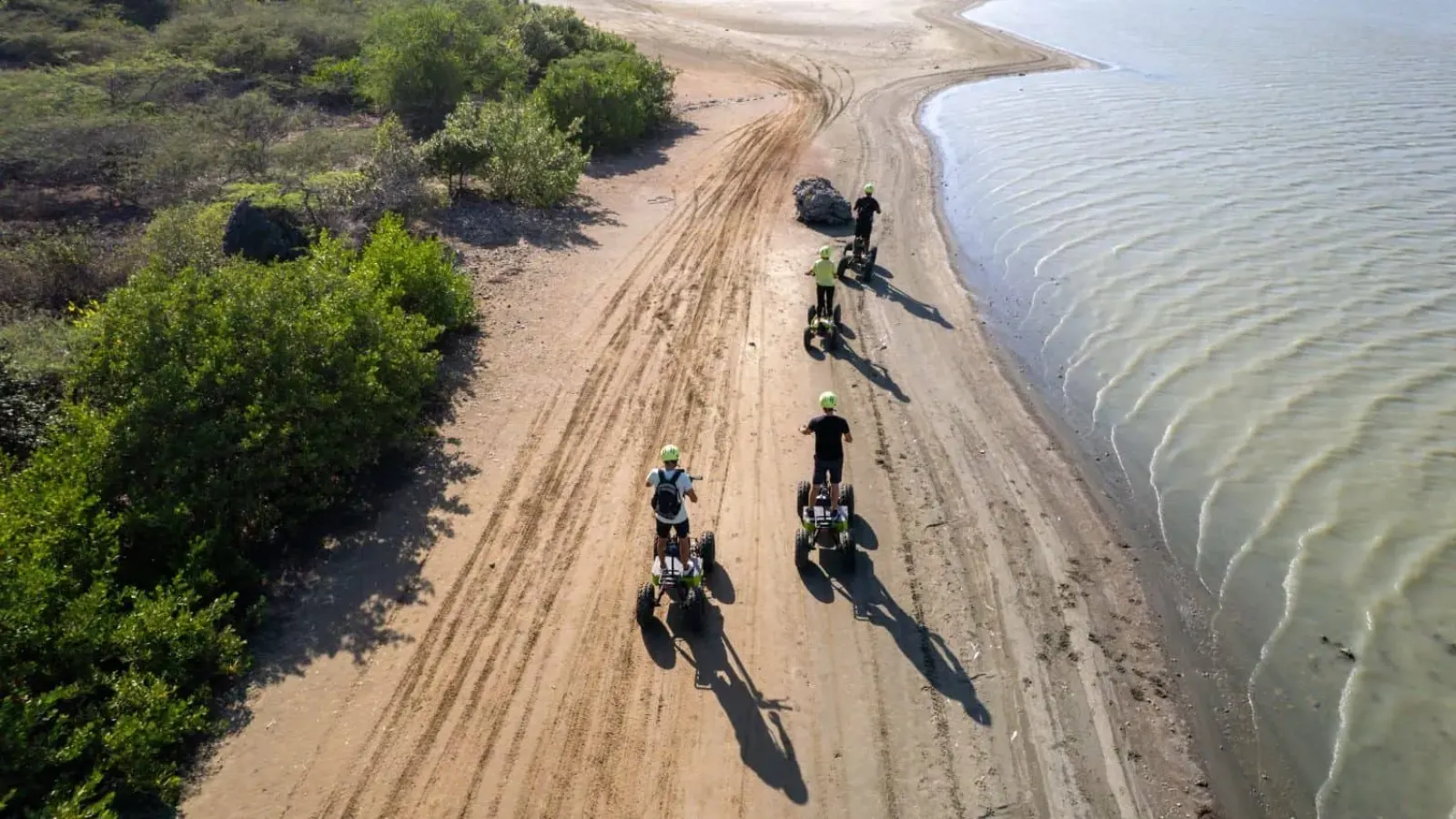E-Nature Tours & Activities