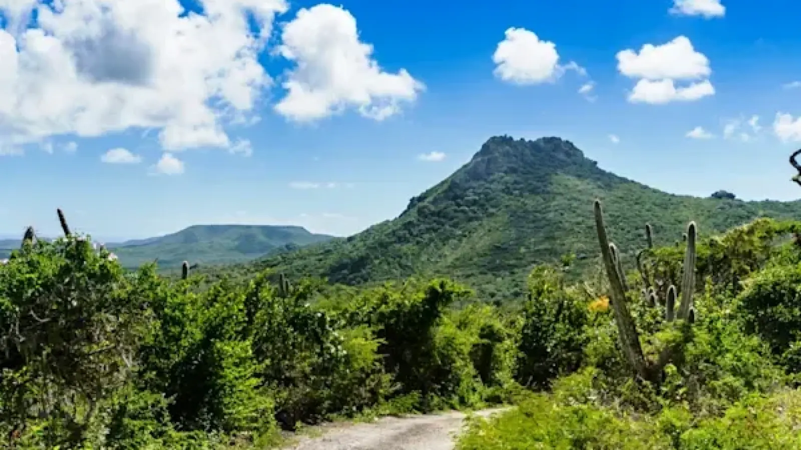 Christoffel Park