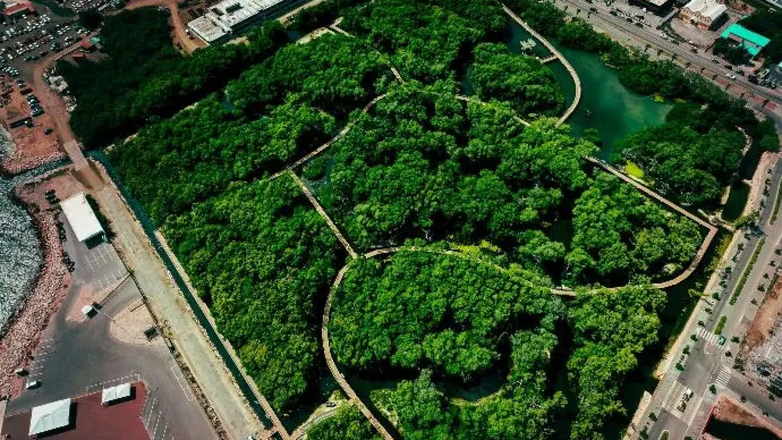 Curaçao Rif Mangrove Park