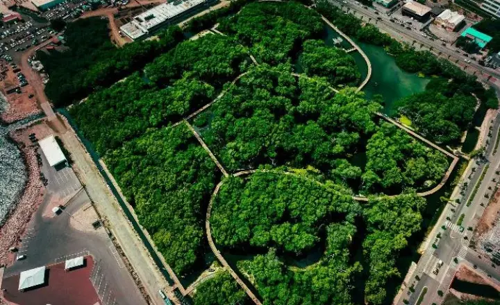 Curaçao Rif Mangrove Park
