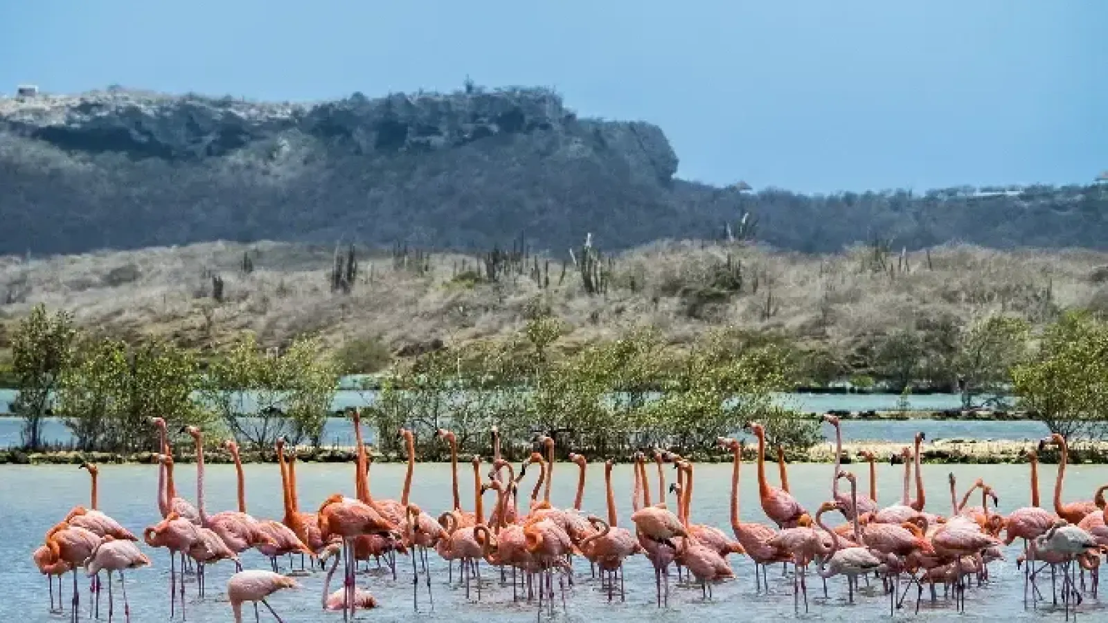Seru Largu National Park