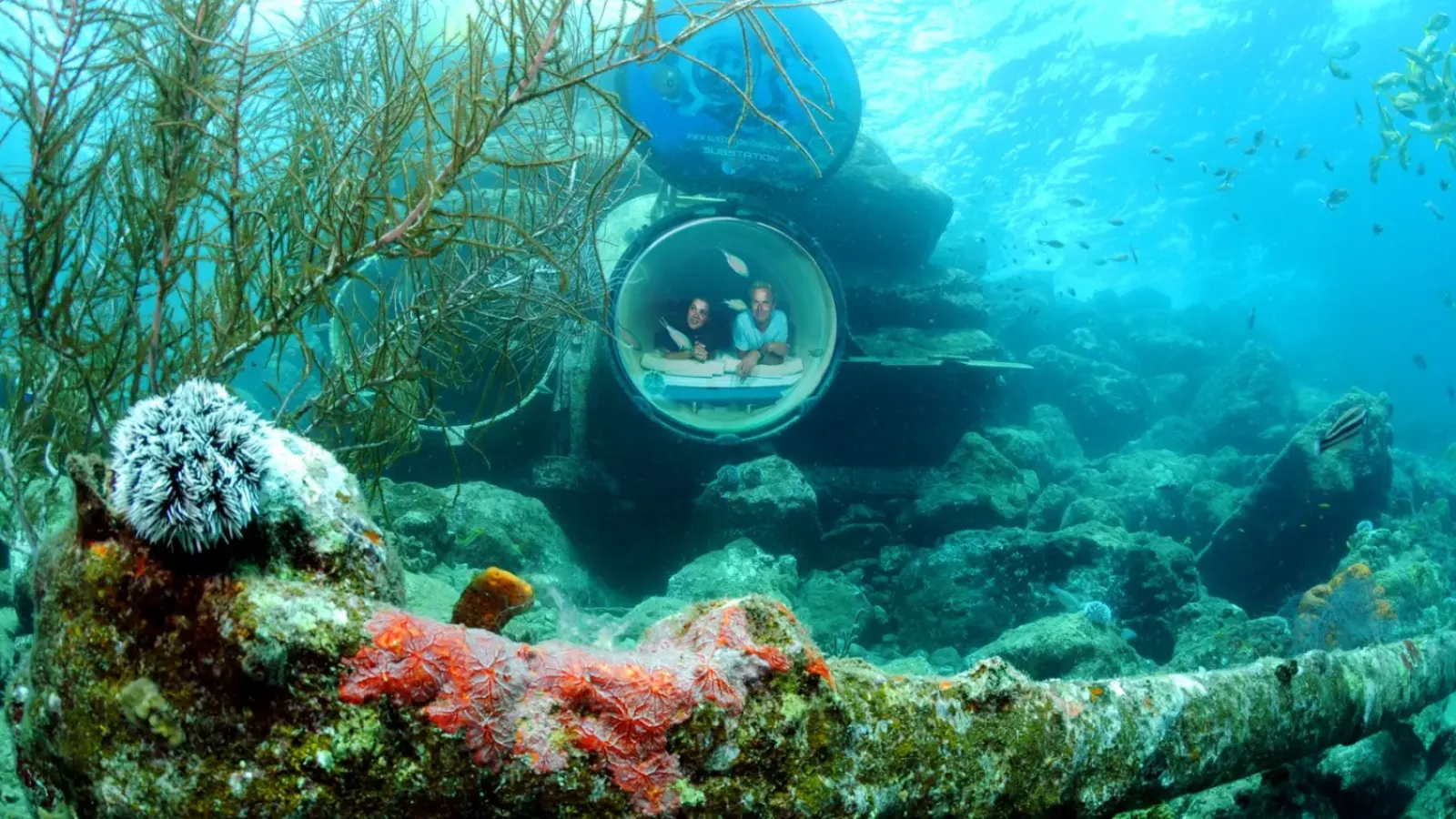 Ocean Lens Curaçao