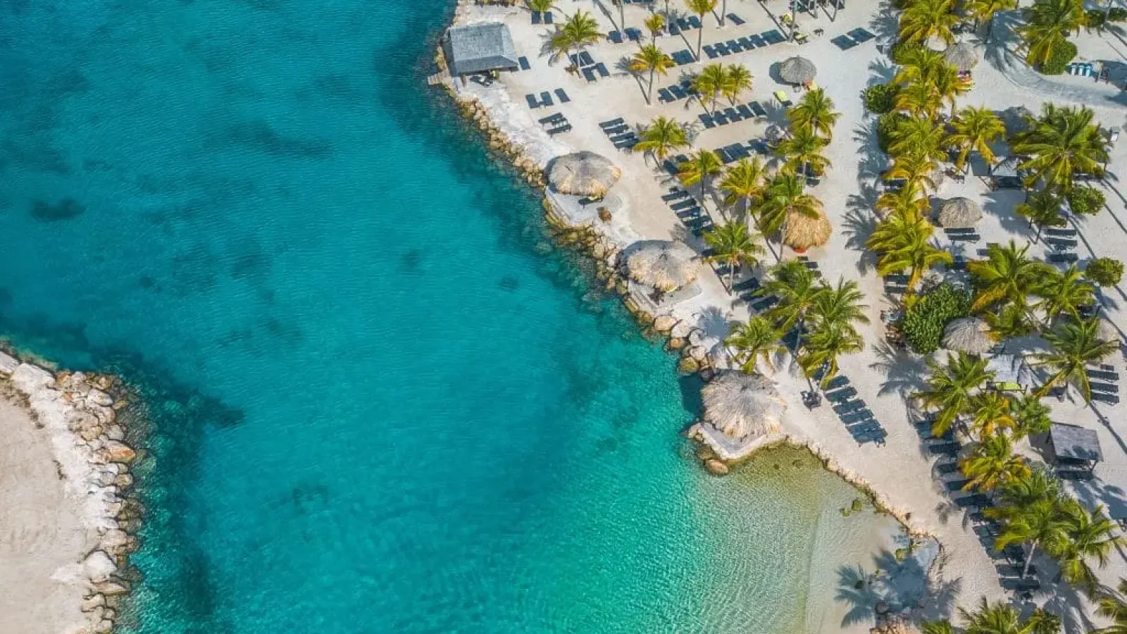 LionsDive Beach Resort