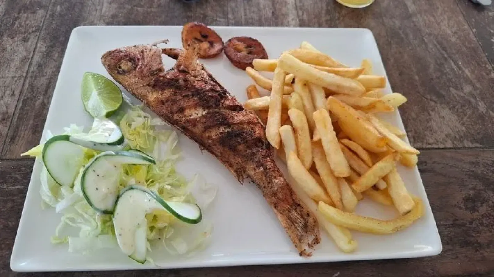 Surf and Turf