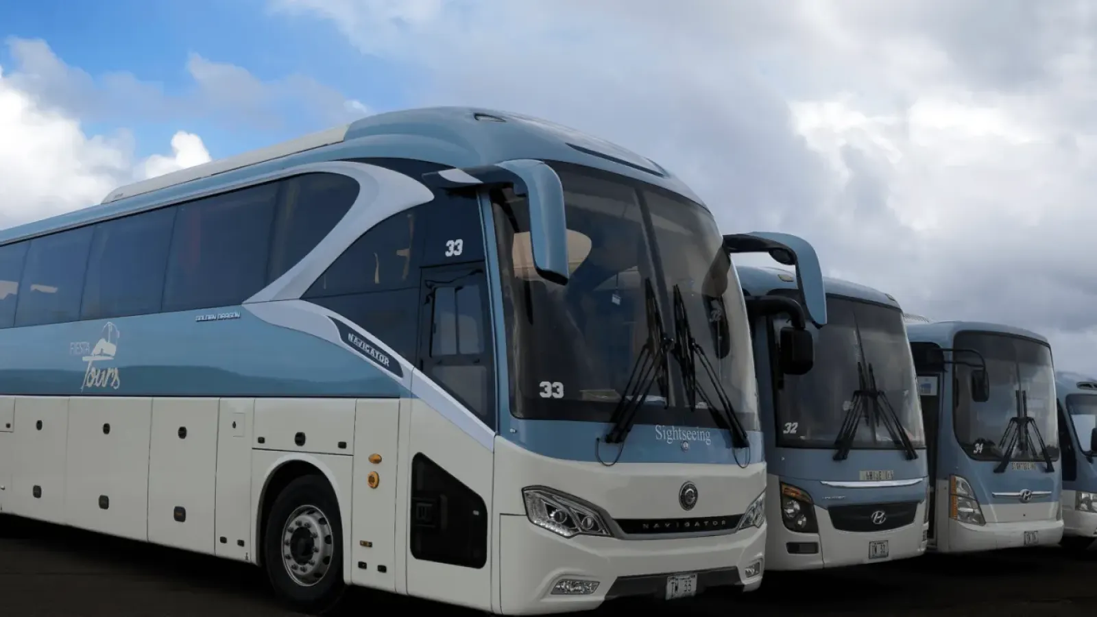 Fiesta Tours
