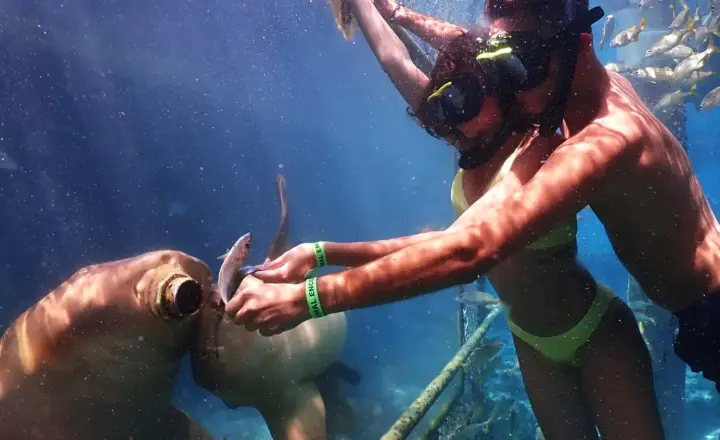 Animal Encounter Curaçao