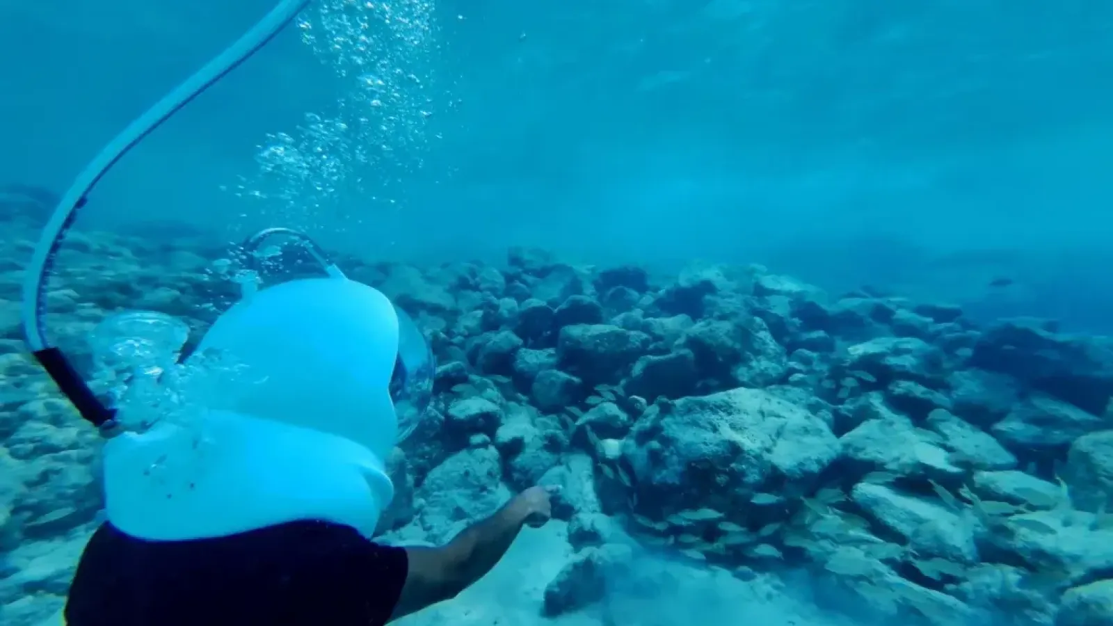 Seawalker Curacao