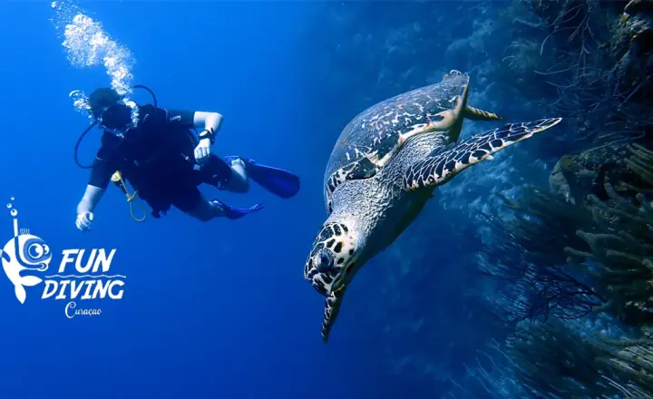 Fundiving Curaçao PADI 5 Star IDC & Technical Diving Center