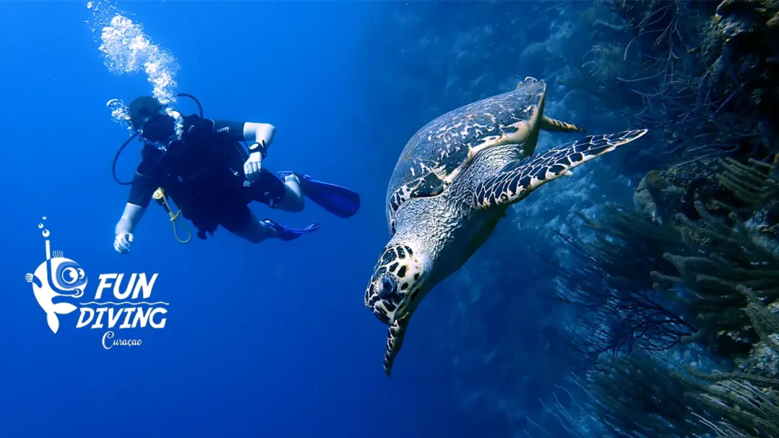 Klein Curaçao Dive Spot