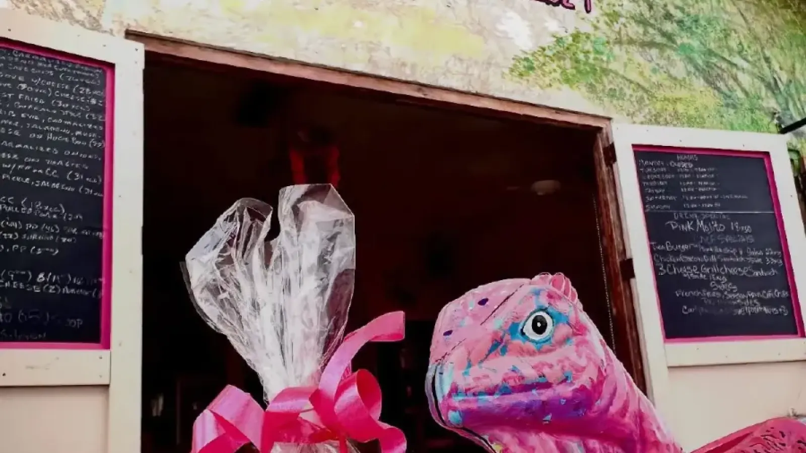 The Pink Iguana