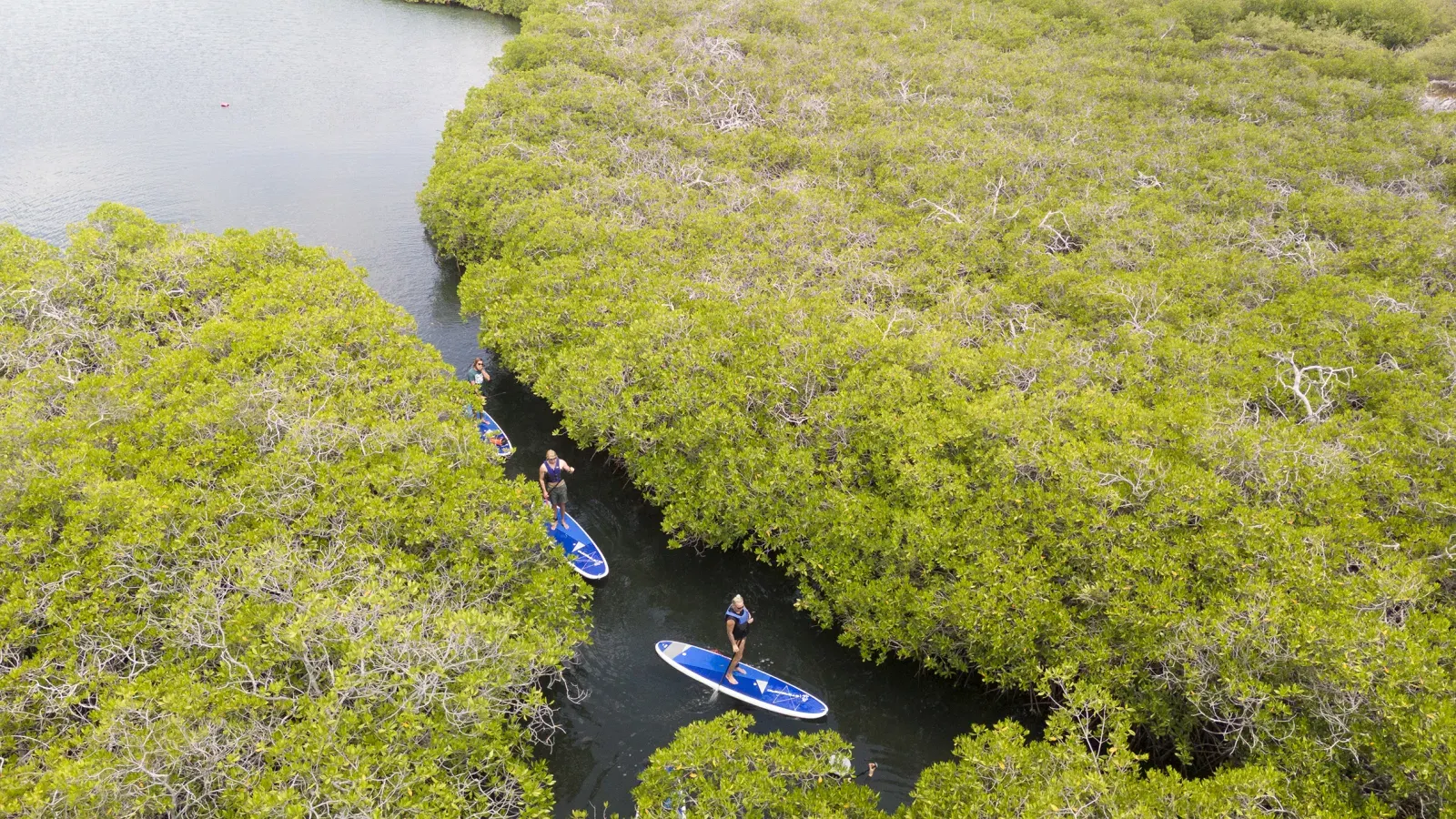 SUPCuracao