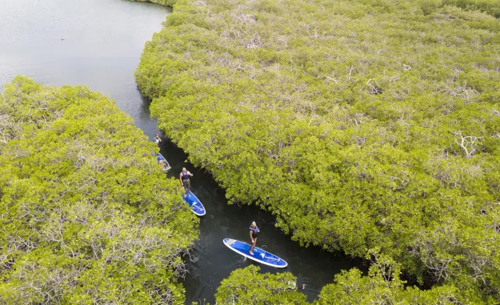 SUPCuracao