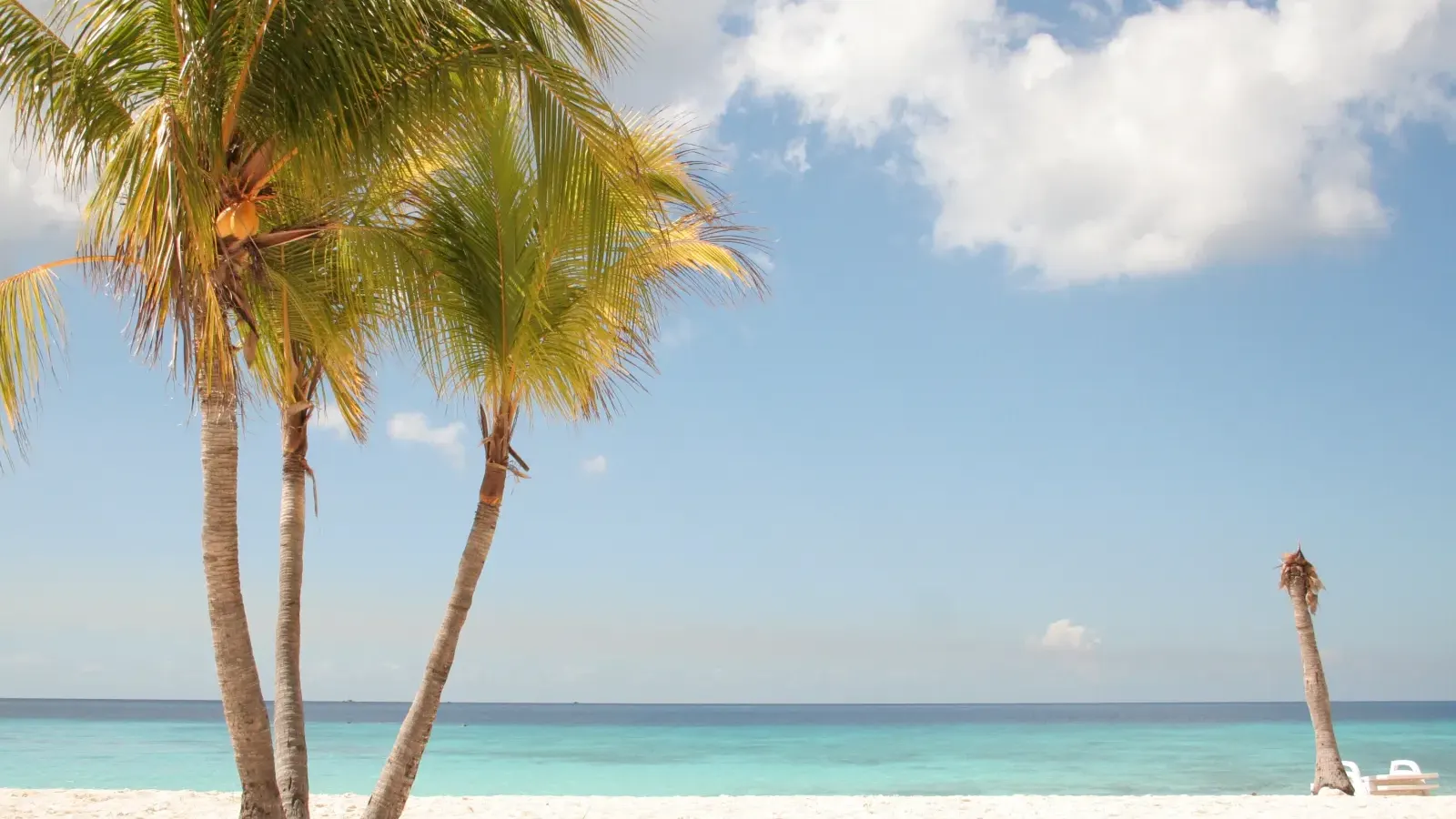 Sunny Drive & Dive Curacao